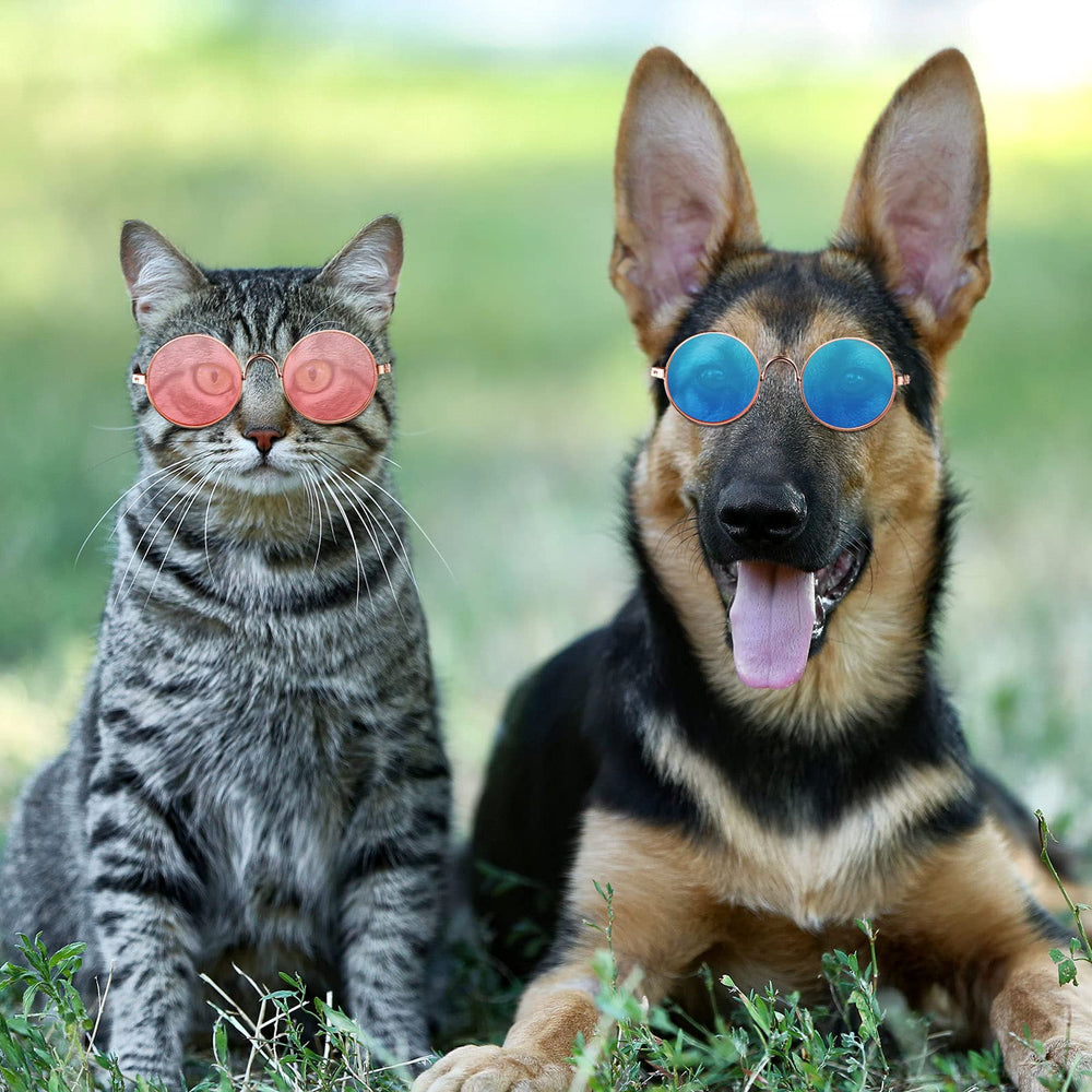 Weewooday 15-pack sunglasses for versatile daily wear.