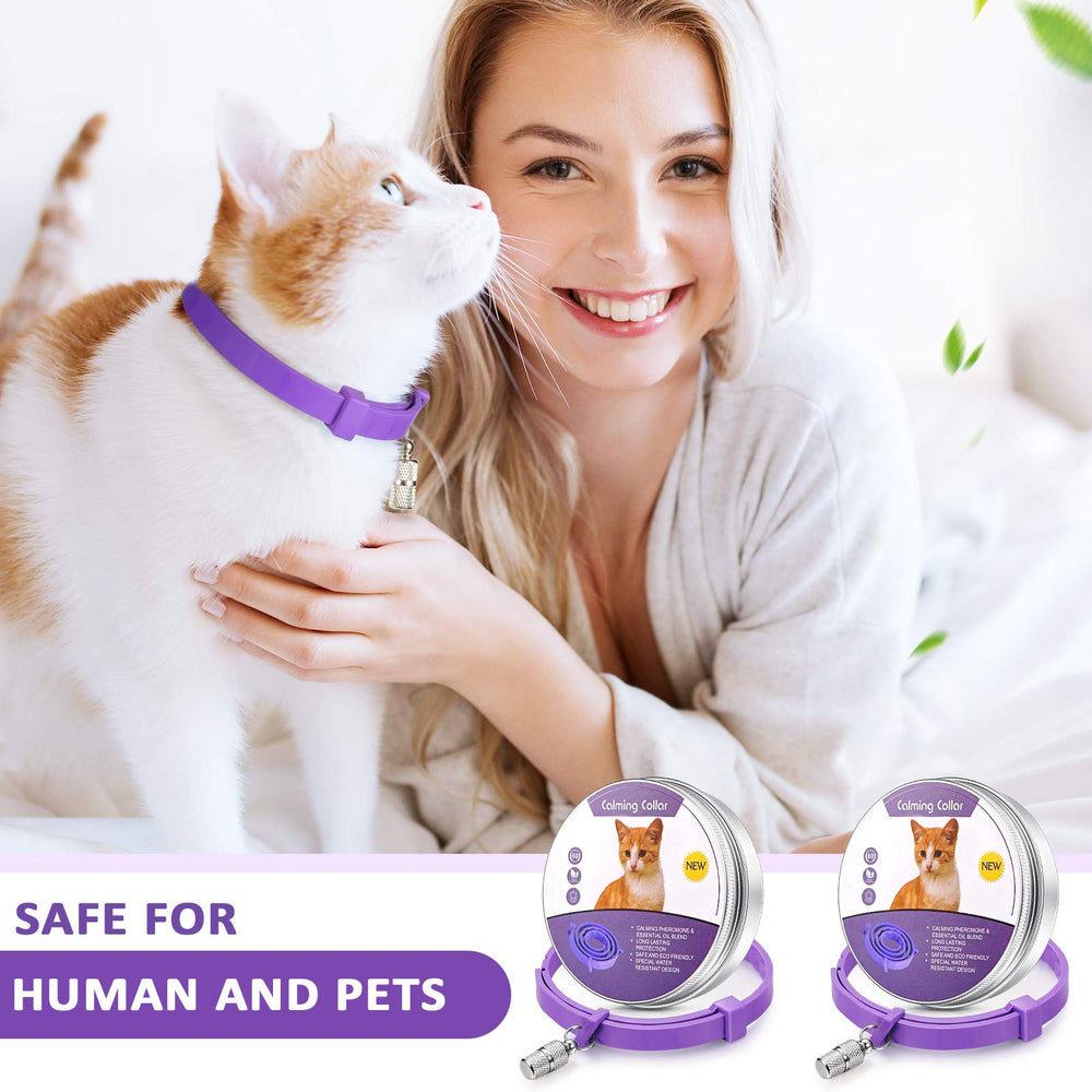 Weewooday five pet ID pendants image highlighting handy cat info tags.