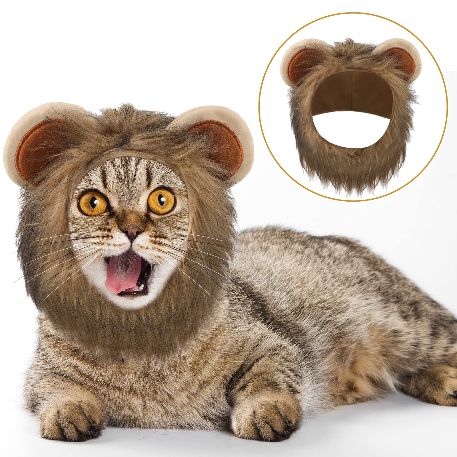 Weewooday banana hat offers quirky style for lighthearted pet selfies