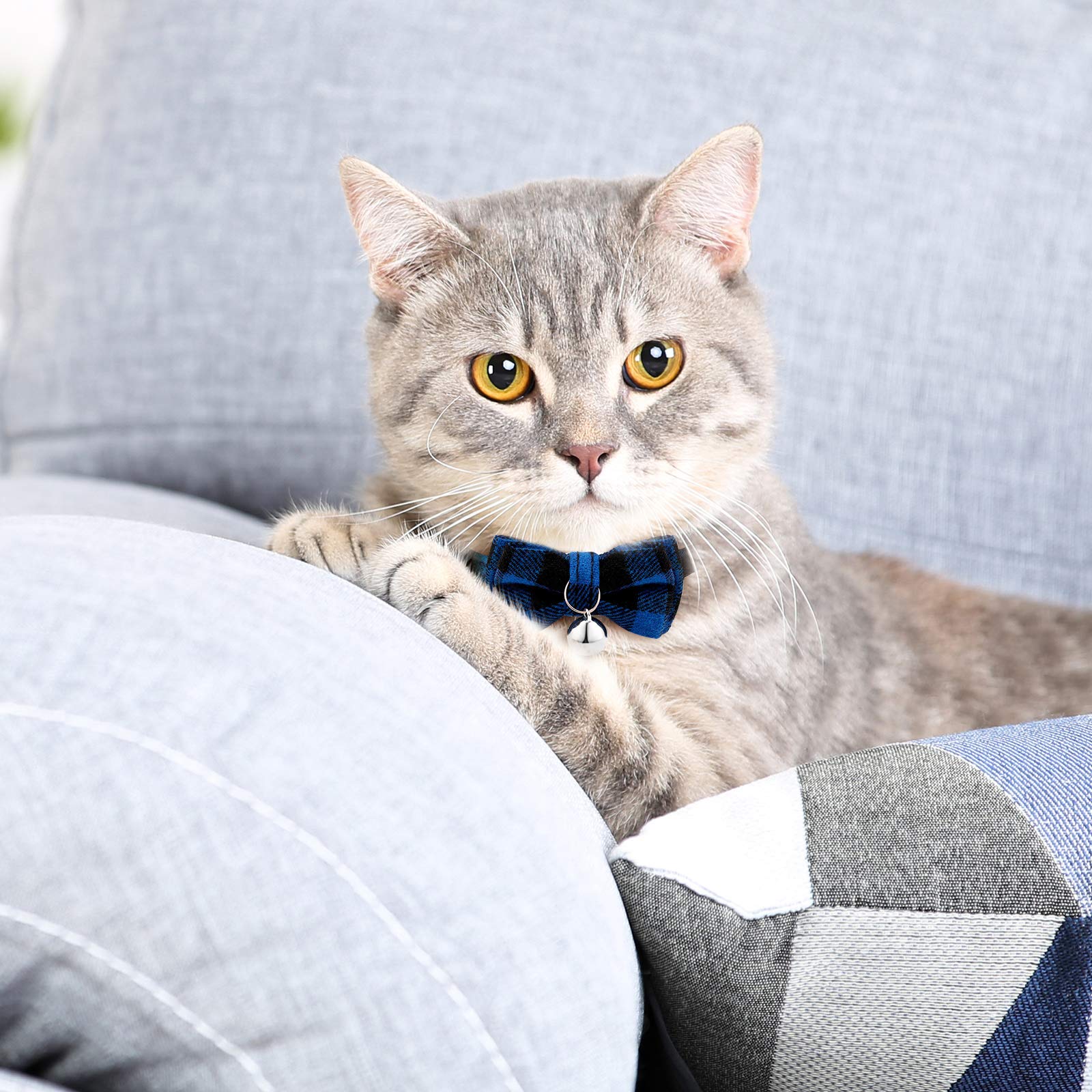 Weewooday breakaway collar with bell and plaid design helps locate your cat indoors