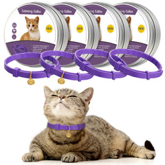 Weewooday calming cat collar 4-pack supports calm moments during travel