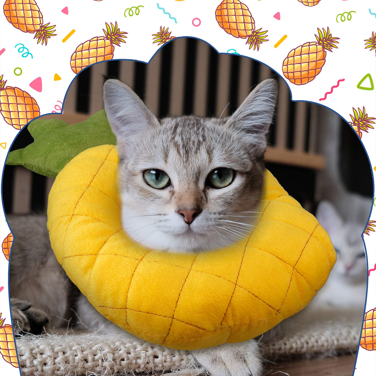 Weewooday cat cone adjustable strap ensures secure, adaptable wear.