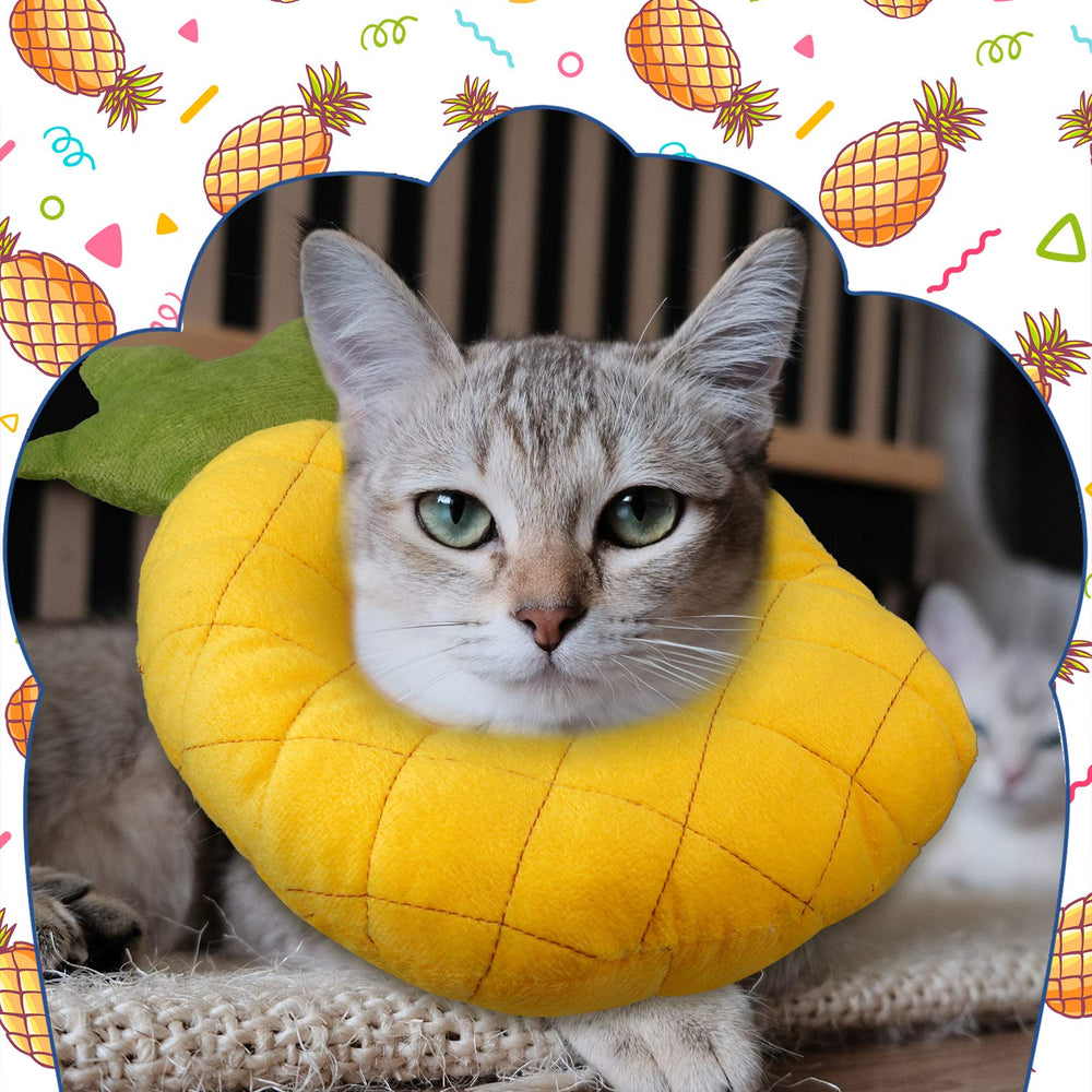 Weewooday cat cone adjustable strap ensures secure, adaptable wear.