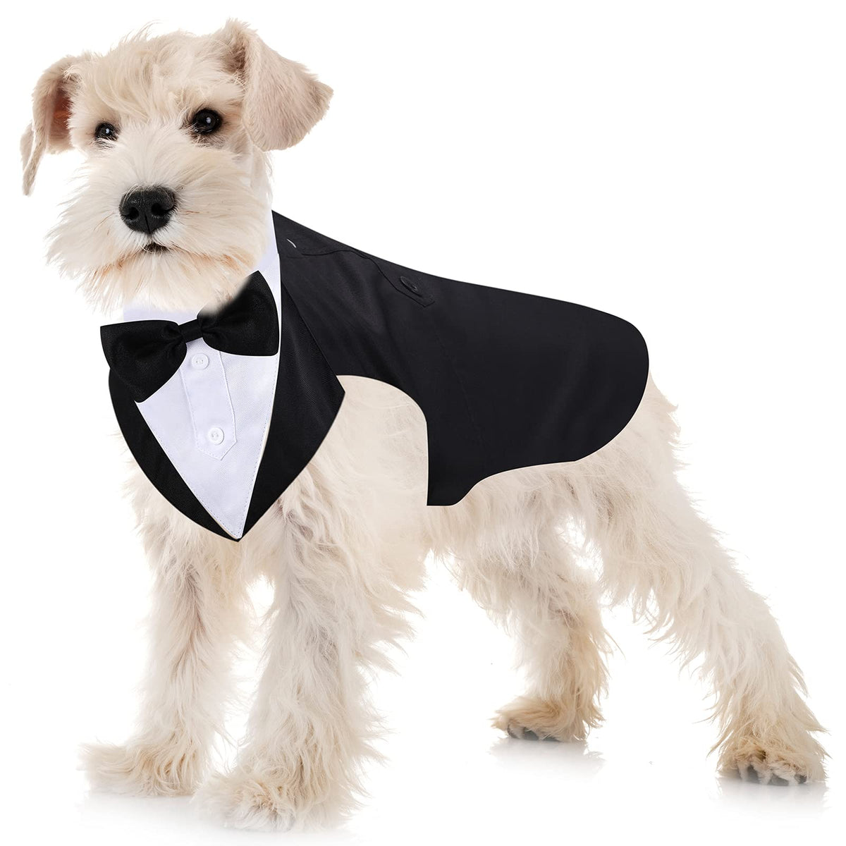 Weewooday dog tuxedo with bow tie for elegant wedding photos