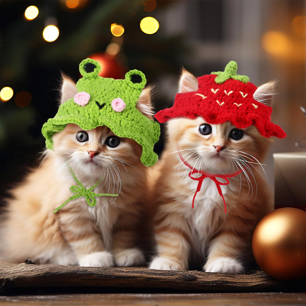 Weewooday fruits-hat set offers versatile pet props