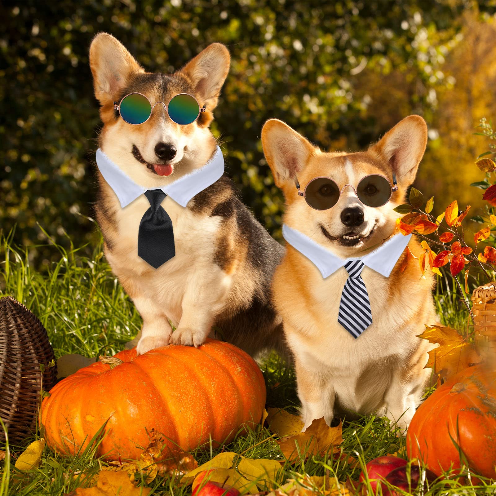 Weewooday gift-ready pet costume set for parties and photo shoots