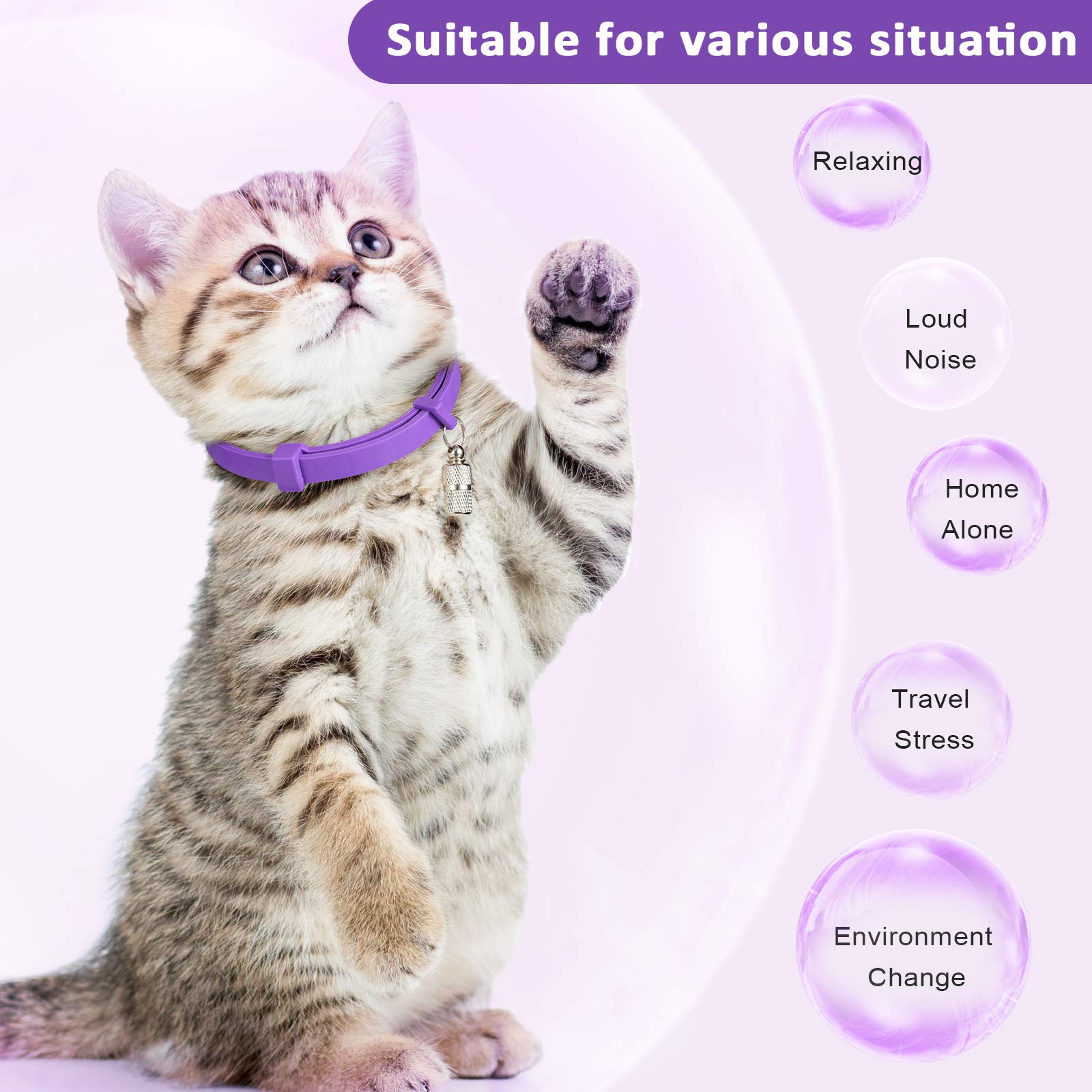 Weewooday lavender chamomile scented collar conveys calming fragrance cues.