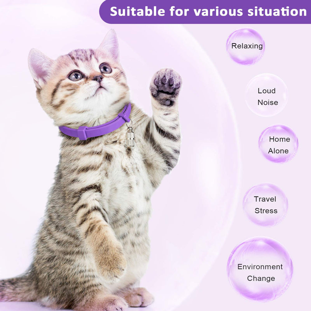 Weewooday lavender chamomile scented collar conveys calming fragrance cues.