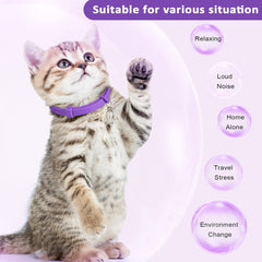 Weewooday lavender chamomile scented collar conveys calming fragrance cues.