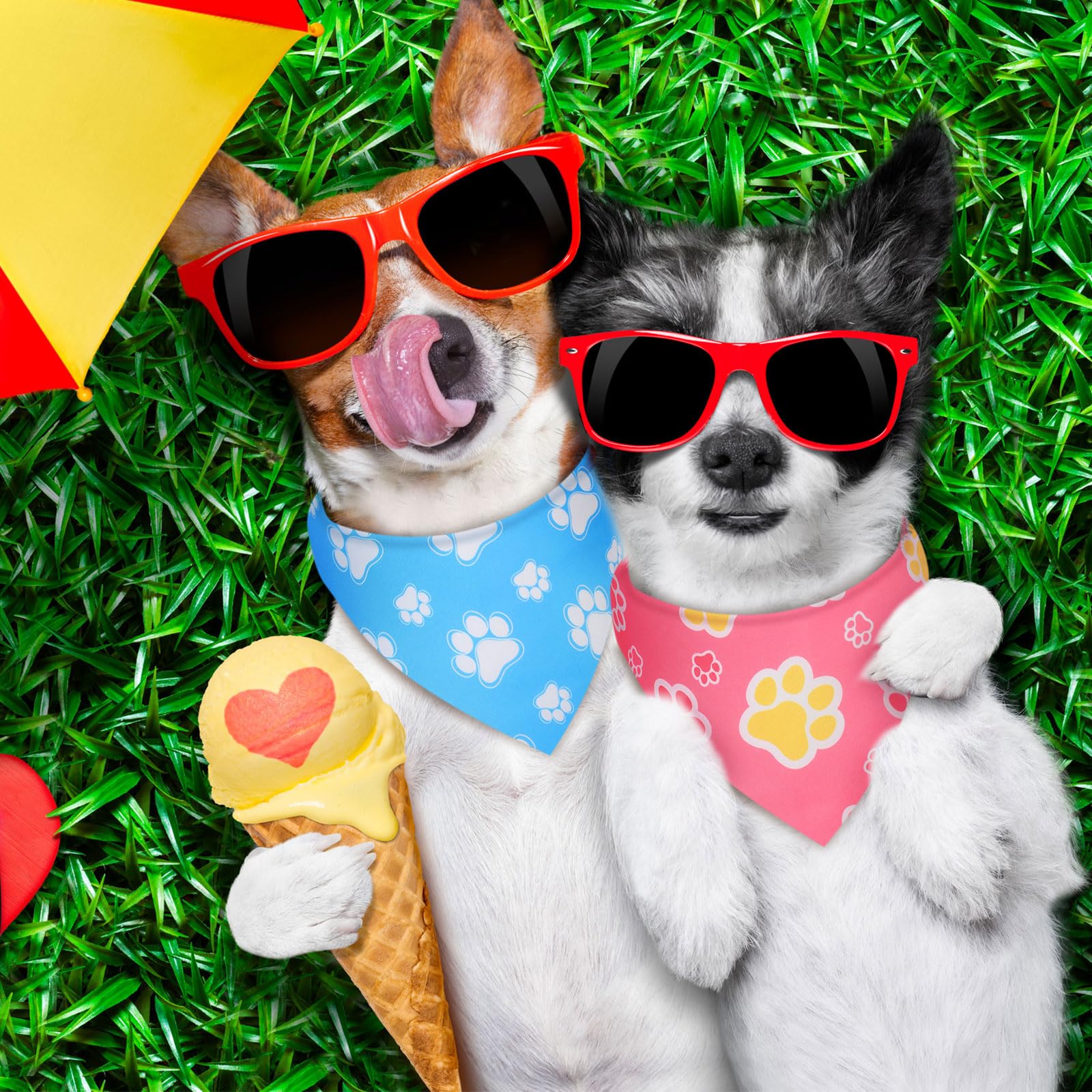 Weewooday paw print designs add fashionable dog styling