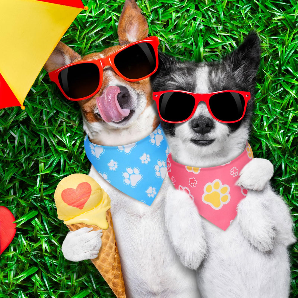 Weewooday paw print designs add fashionable dog styling