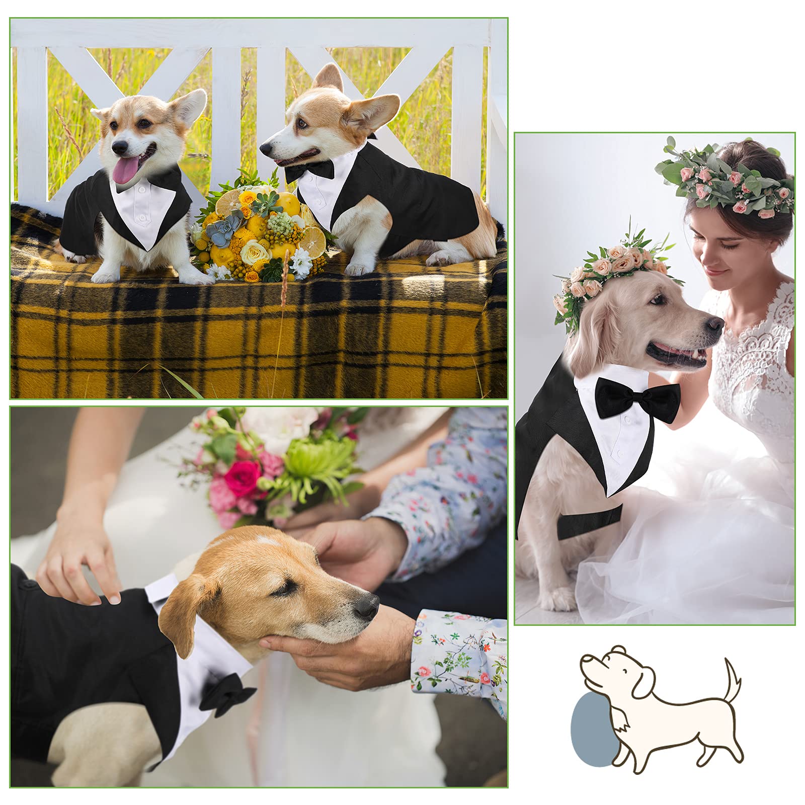 Weewooday pet wedding party suit shines in crowds