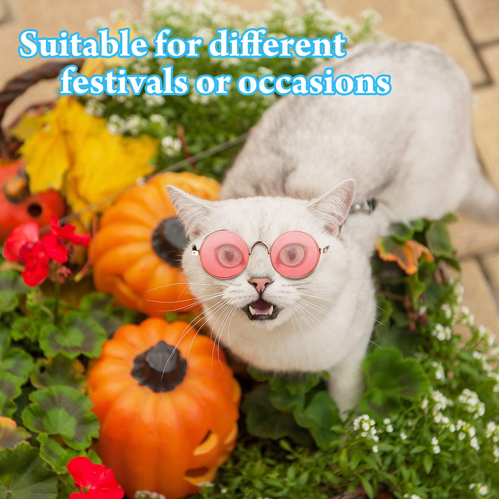 Weewooday puppy sunglasses with lightweight frames for comfort.