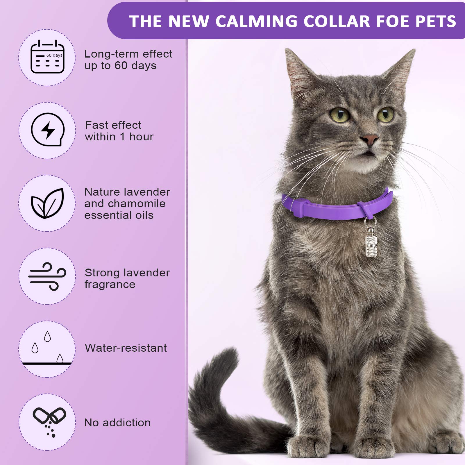 Weewooday safe long-term use cat collar design for gentle support.