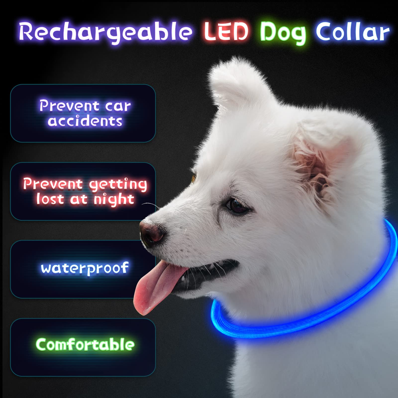 Weewooday waterproof LED collar stays visible in light rain.