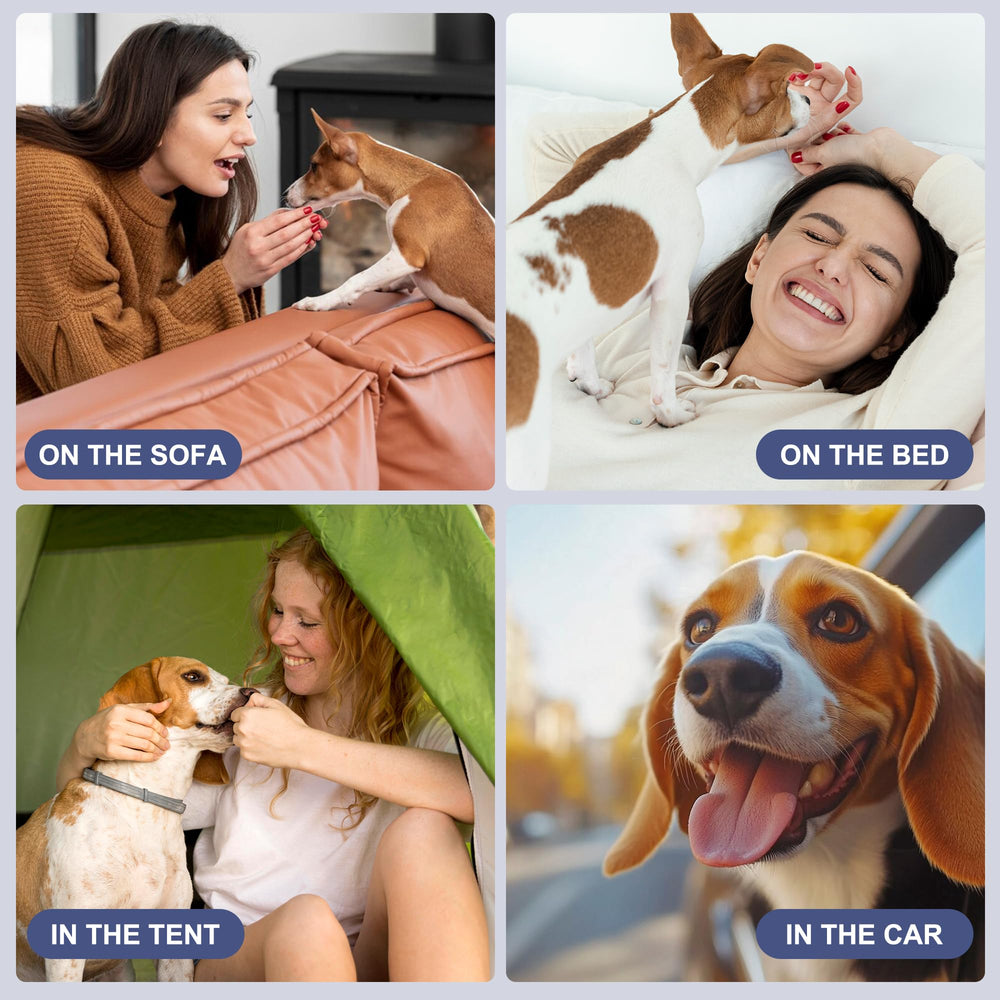 Wegreeco waist size 11–14 inches ensures a secure fit for small dogs.