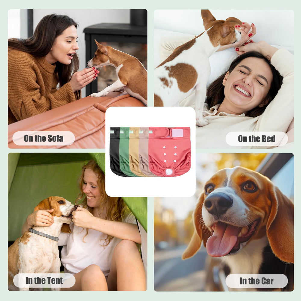 Wegreeco adjustable closures ensure secure fit during daily life with pets.
