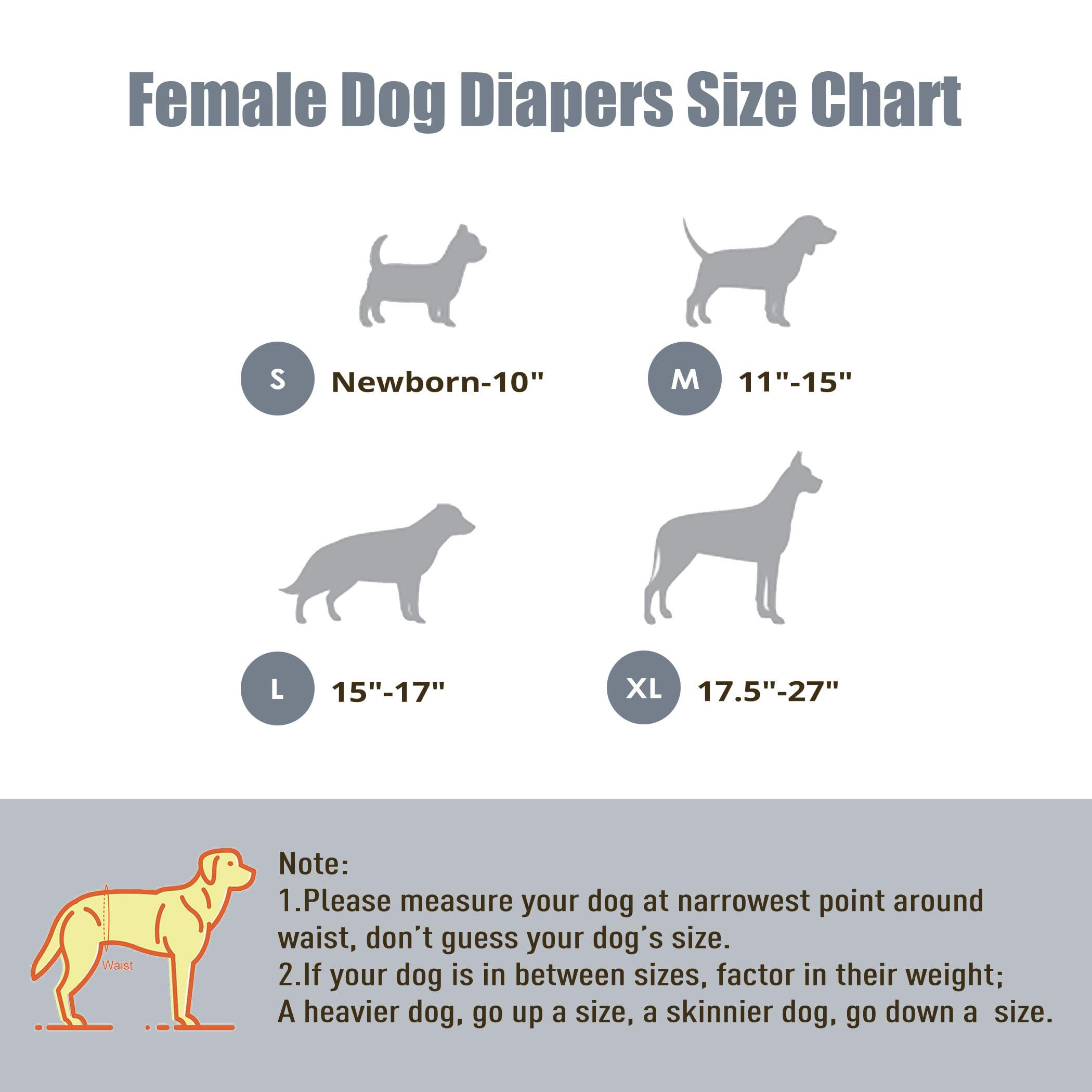 Wegreeco 3-pack packaging shows convenient, reusable dog diapers in one set.