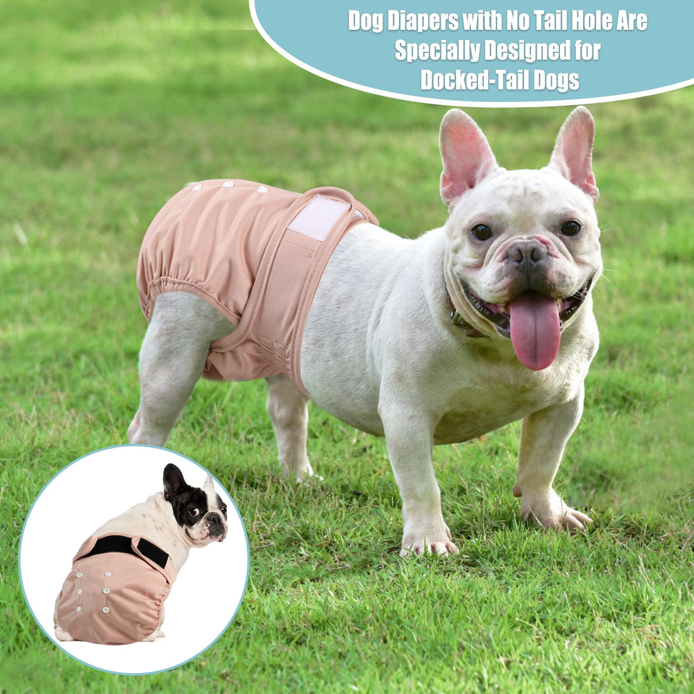 Wegreeco female dog diapers designed for heat and incontinence; easy sizing.