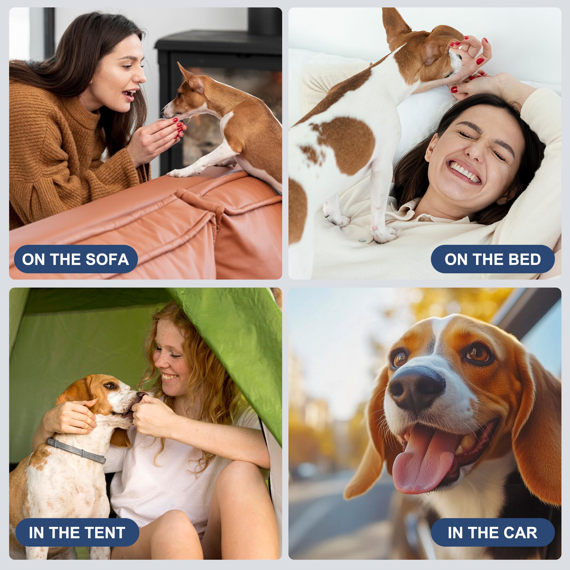 Wegreeco 5-pack eco-friendly dog diapers packaging