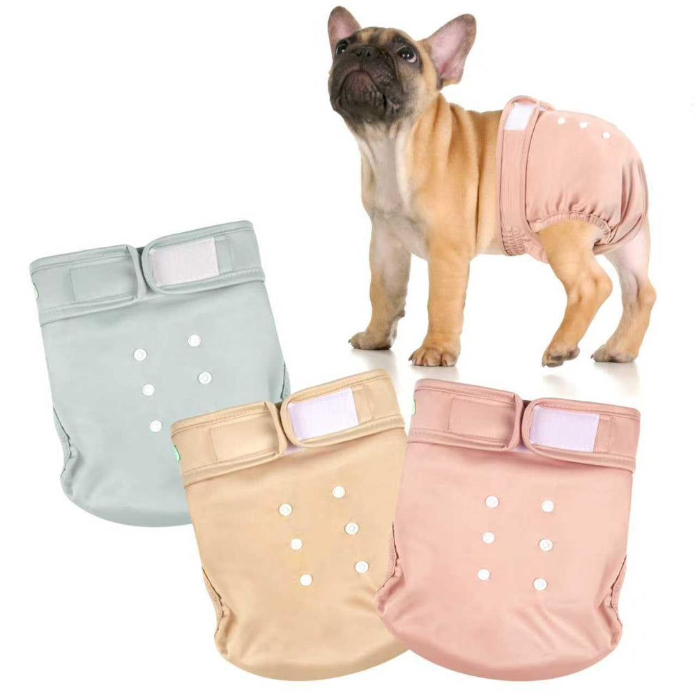 Wegreeco Frenchie diapers with no tail hole for docked tails; comfortable fit.