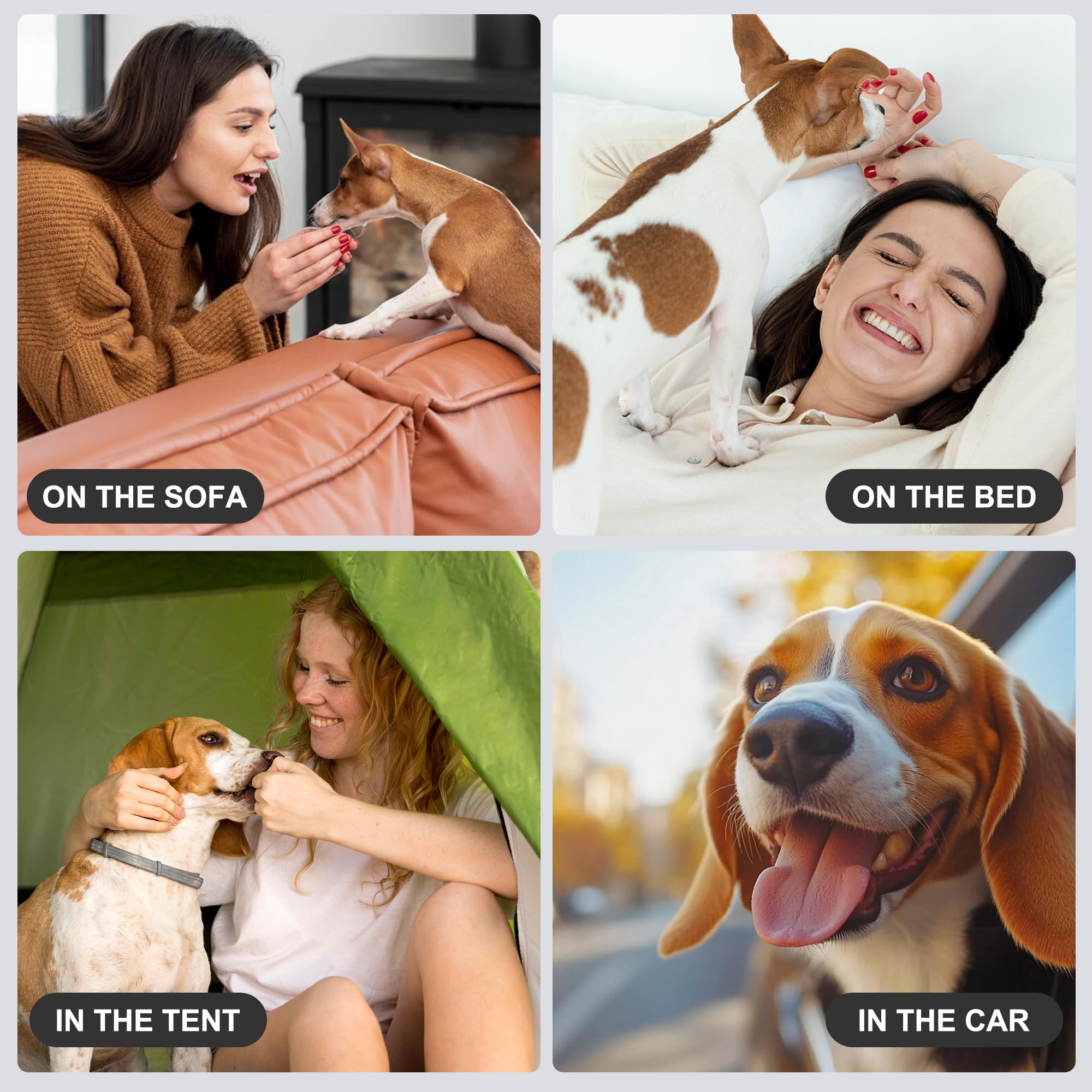 Wegreeco ideal for untrained puppies or excitement urination in small-to-medium dogs