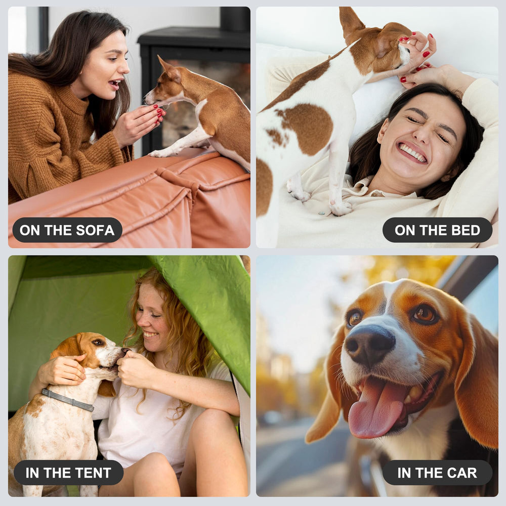 Wegreeco ideal for untrained puppies or excitement urination in small-to-medium dogs