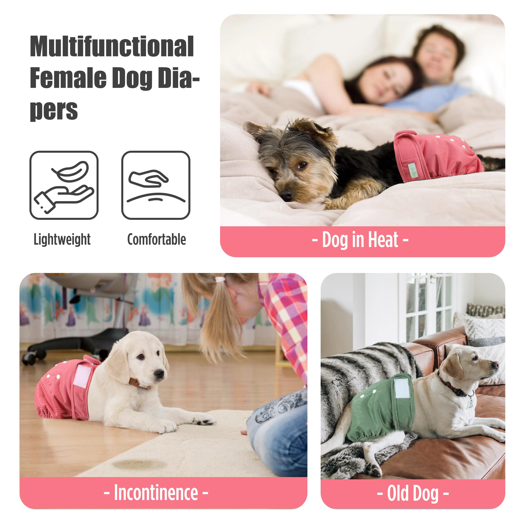 Wegreeco heat diapers keep pets comfortable during heat periods.