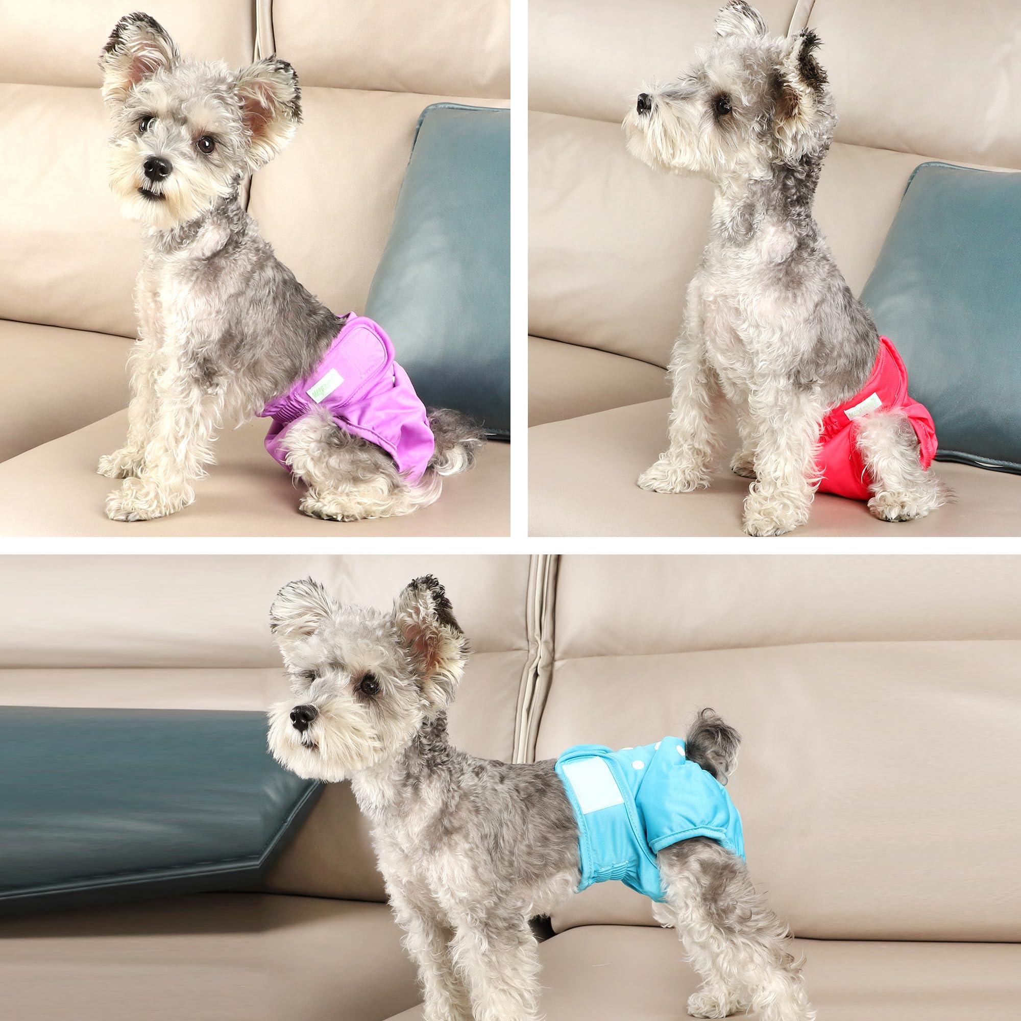 Wegreeco soft non-crinkly fabric keeps dogs comfortable during wear
