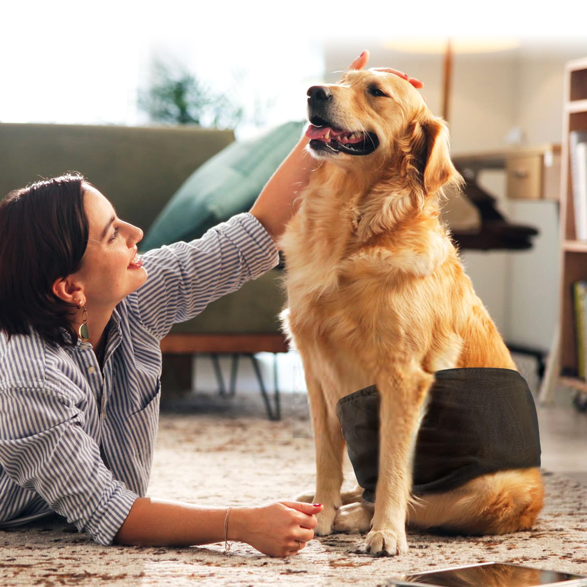 Wegreeco reusable design reduces waste and supports greener pet care