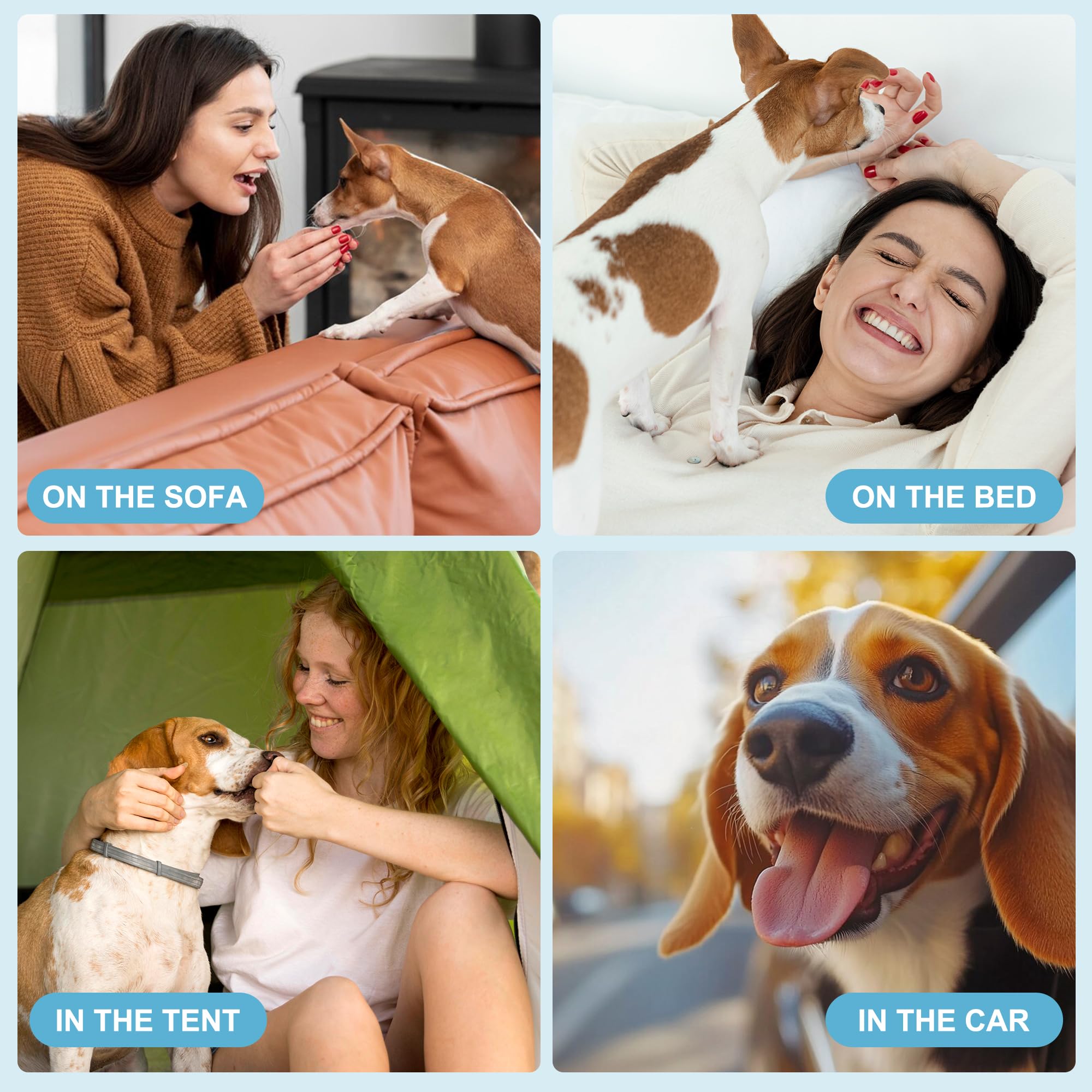 Great for puppies and households seeking cleaner living spaces.