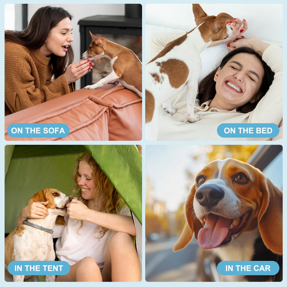 Great for puppies and households seeking cleaner living spaces.