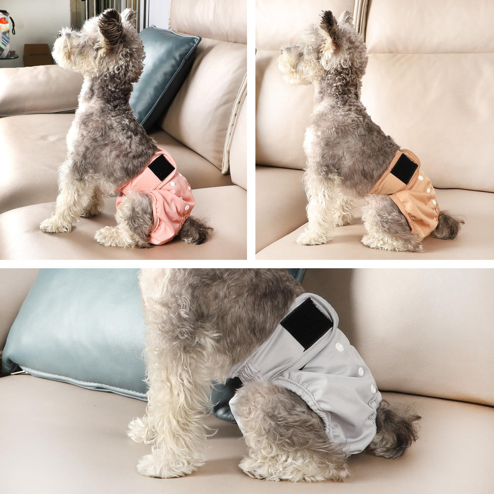 Wegreeco three-color pack offers stylish, reusable options for different days.