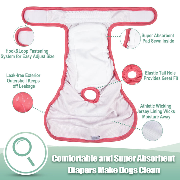 Wegreeco washable dog diapers with absorbent core keep moisture away from fur and surfaces.