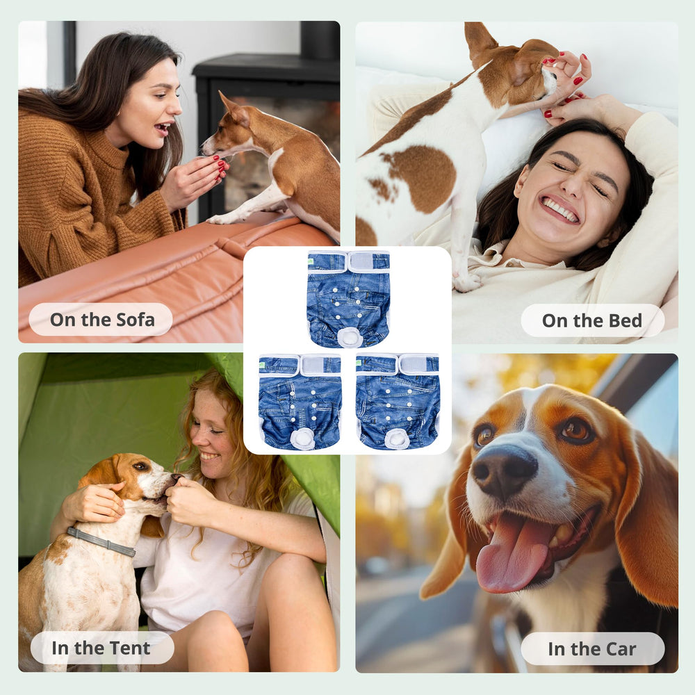 Wegreeco on-dog usage shows practical fit for daily wear and easy cleanup.