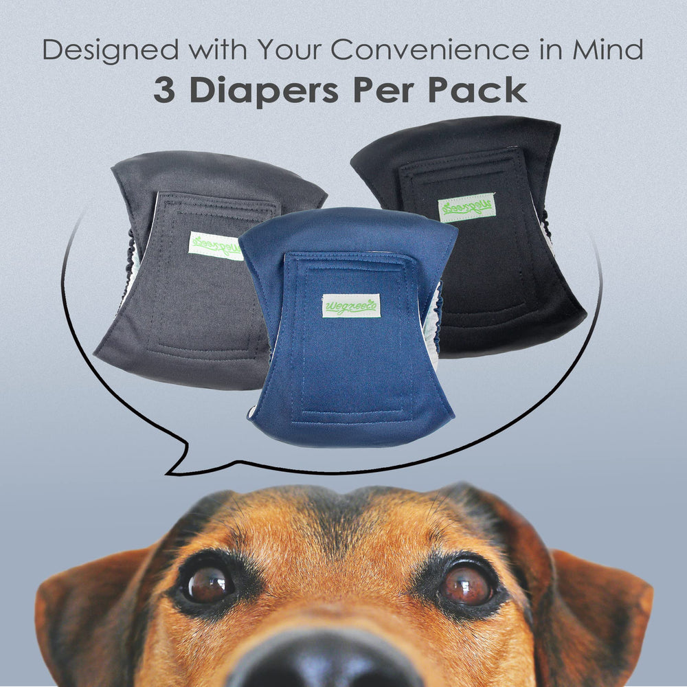 Wegreeco charcoal washable dog diapers ready for reliable restroom control