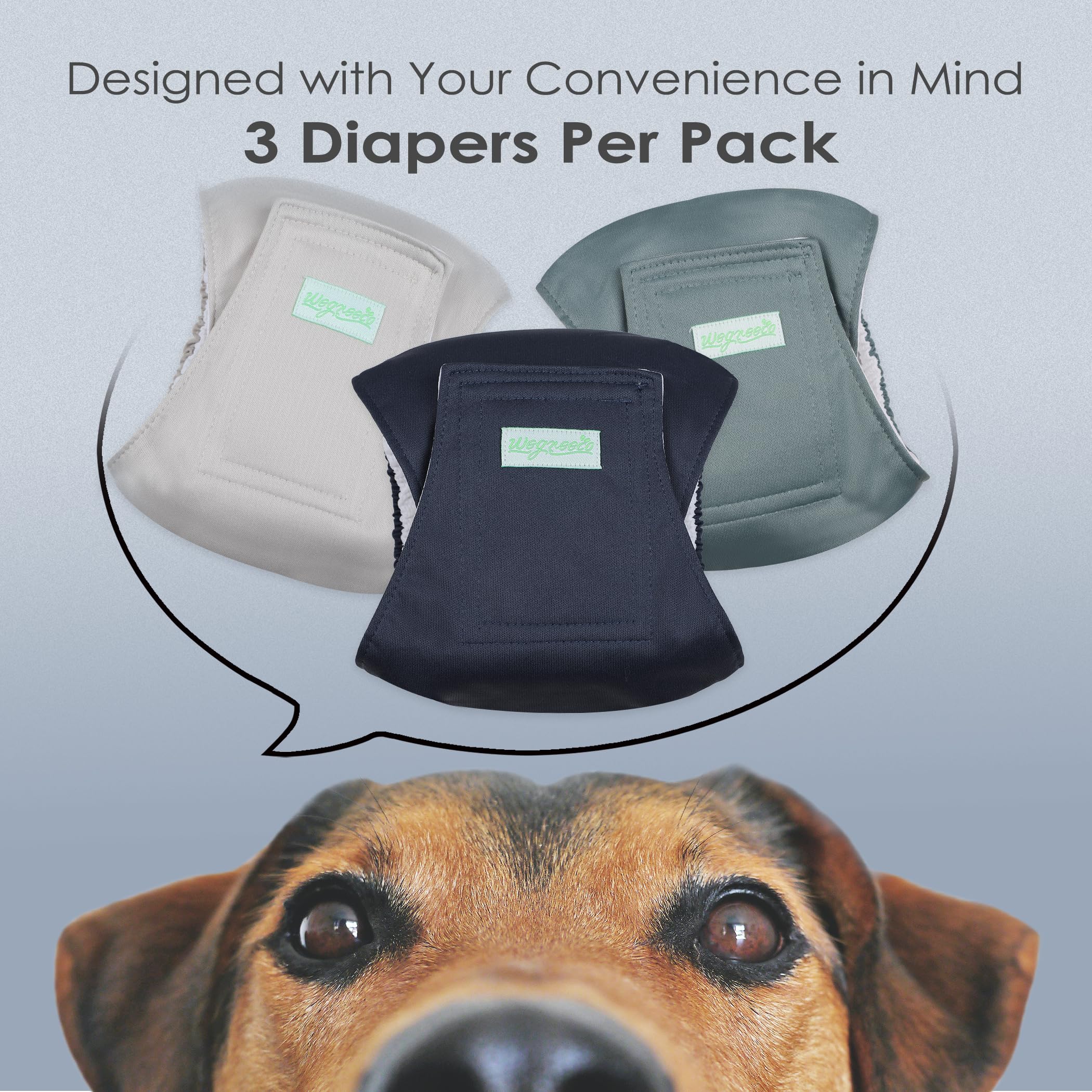 Wegreeco green-pattern belly band highlights reusable design for daily wear.