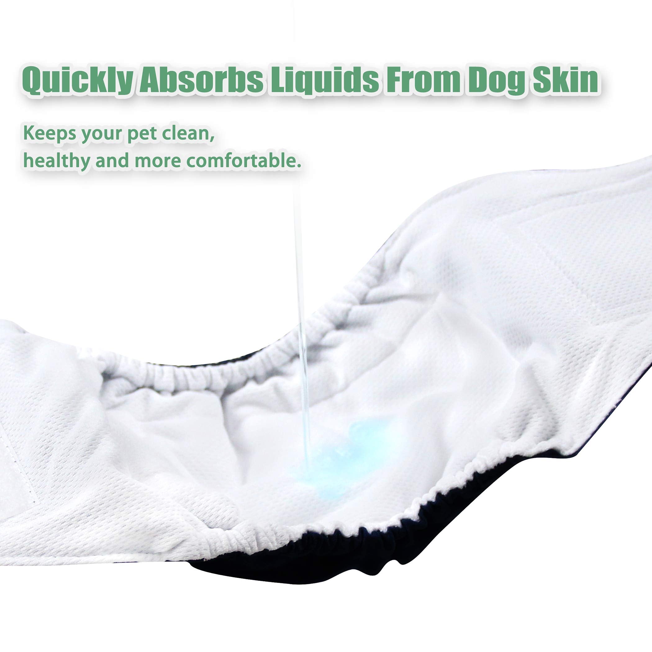 Wegreeco reusable design highlights savings and landfill reduction over months.