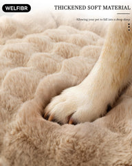 Welfibr dog bed shredded foam closeup highlights adaptive support and nest-like comfort.