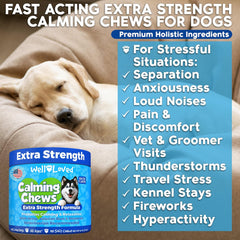 Well Loved Calming Chews bottle close-up highlighting hemp and valerian formula for dogs.