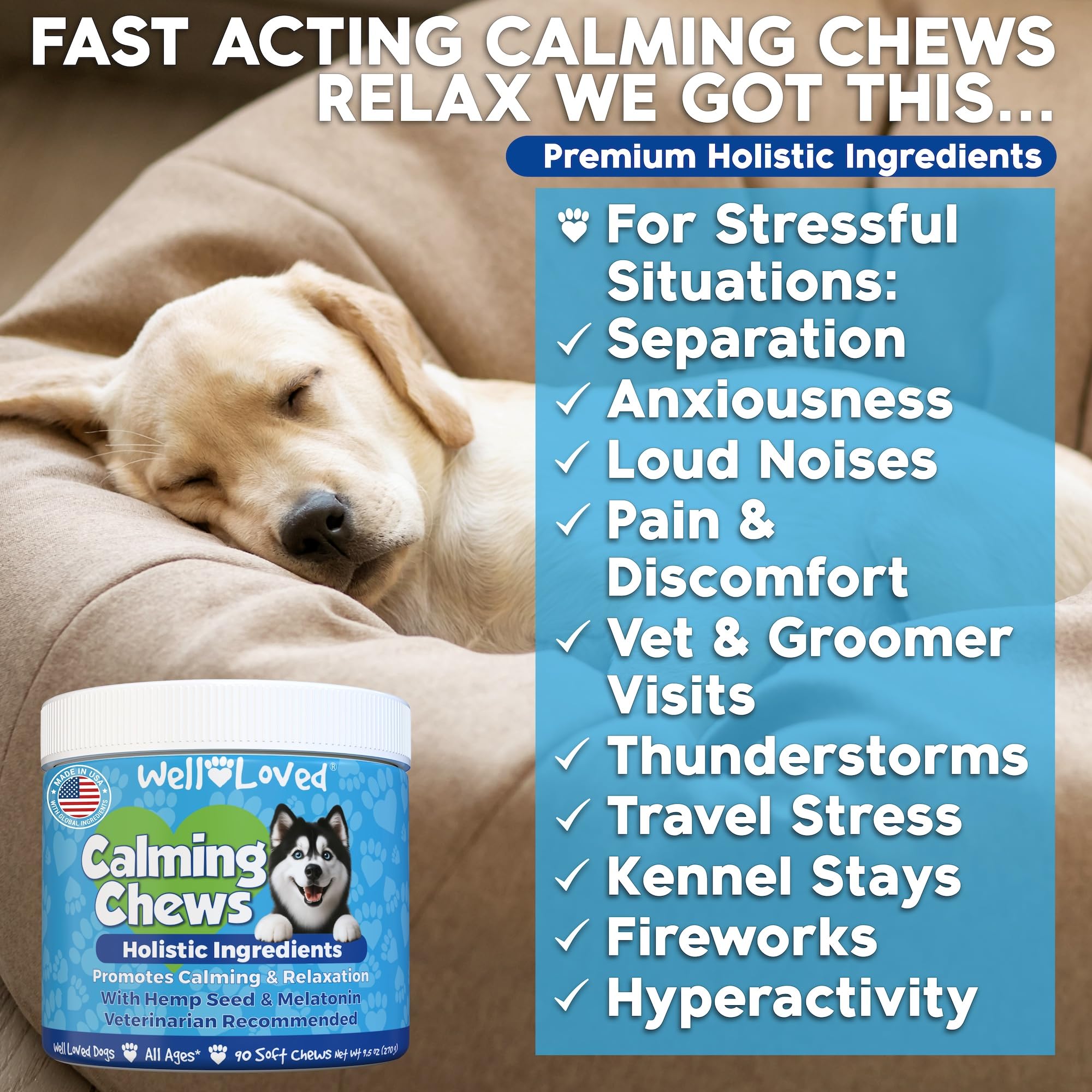 Well Loved Calming Chews close-up reveals tasty chews dogs love for stress relief