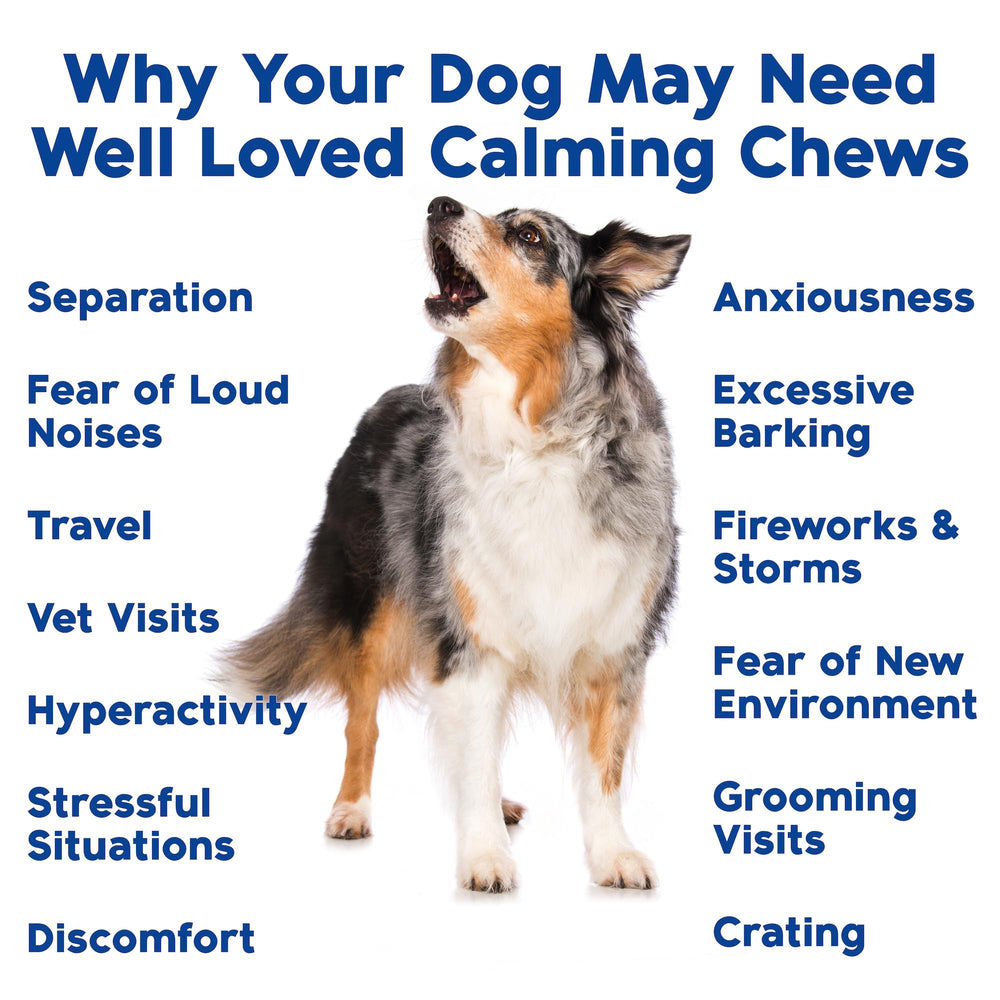 Well Loved Calming Chews USA-made label emphasizes quality and safety