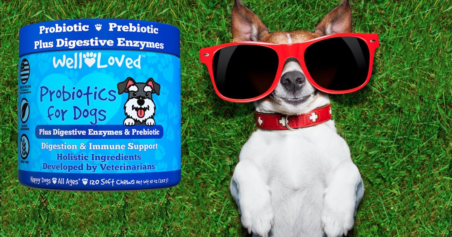 Well Loved Daily Probiotic Maintenance for dogs in chew form.