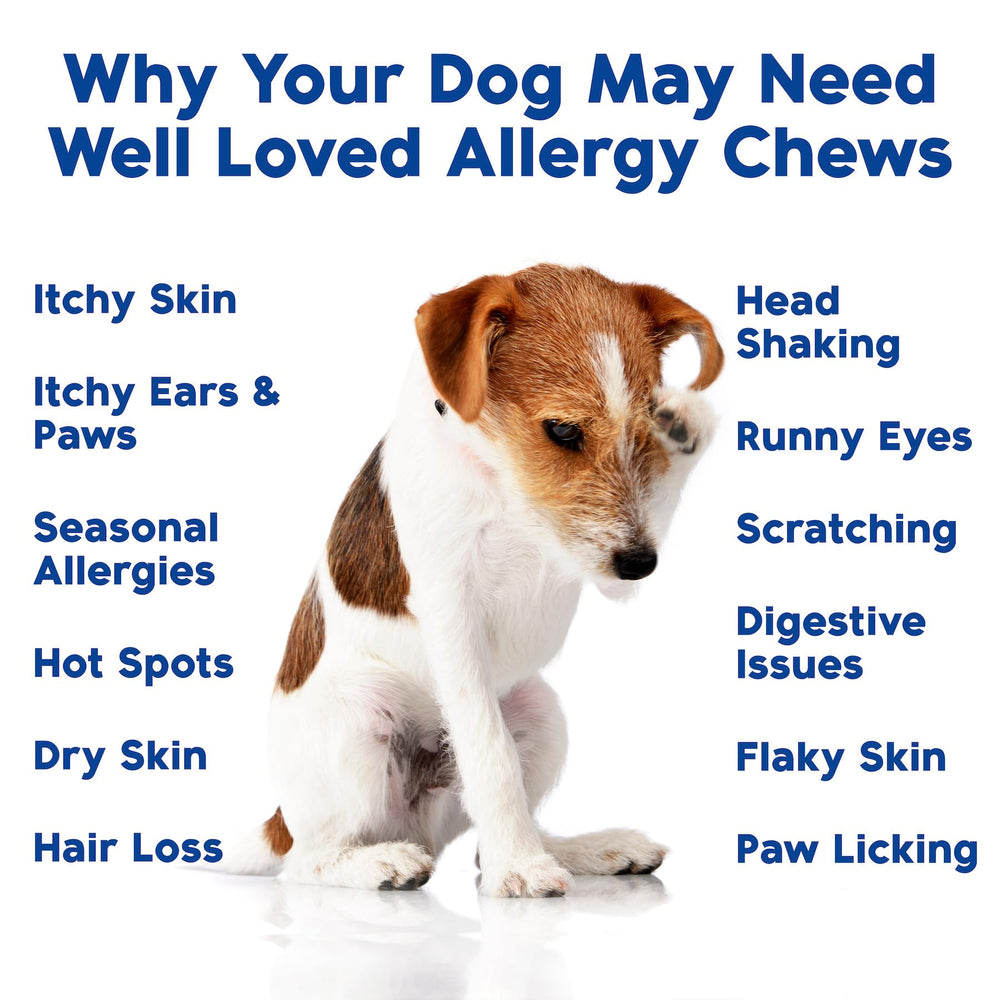 Omega-3 rich Well Loved chews support skin and coat health.