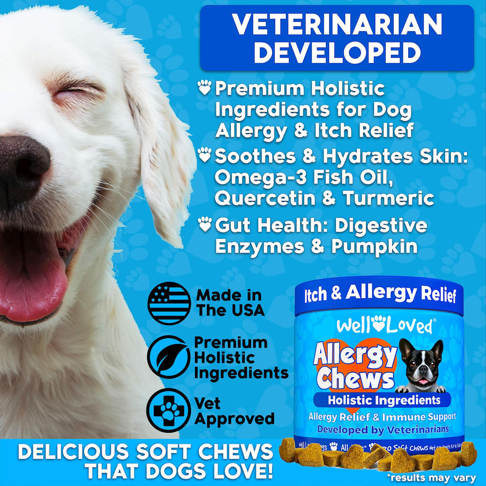 Well Loved Dog Allergy Chews package highlights USA-made safety for seasonal allergies.