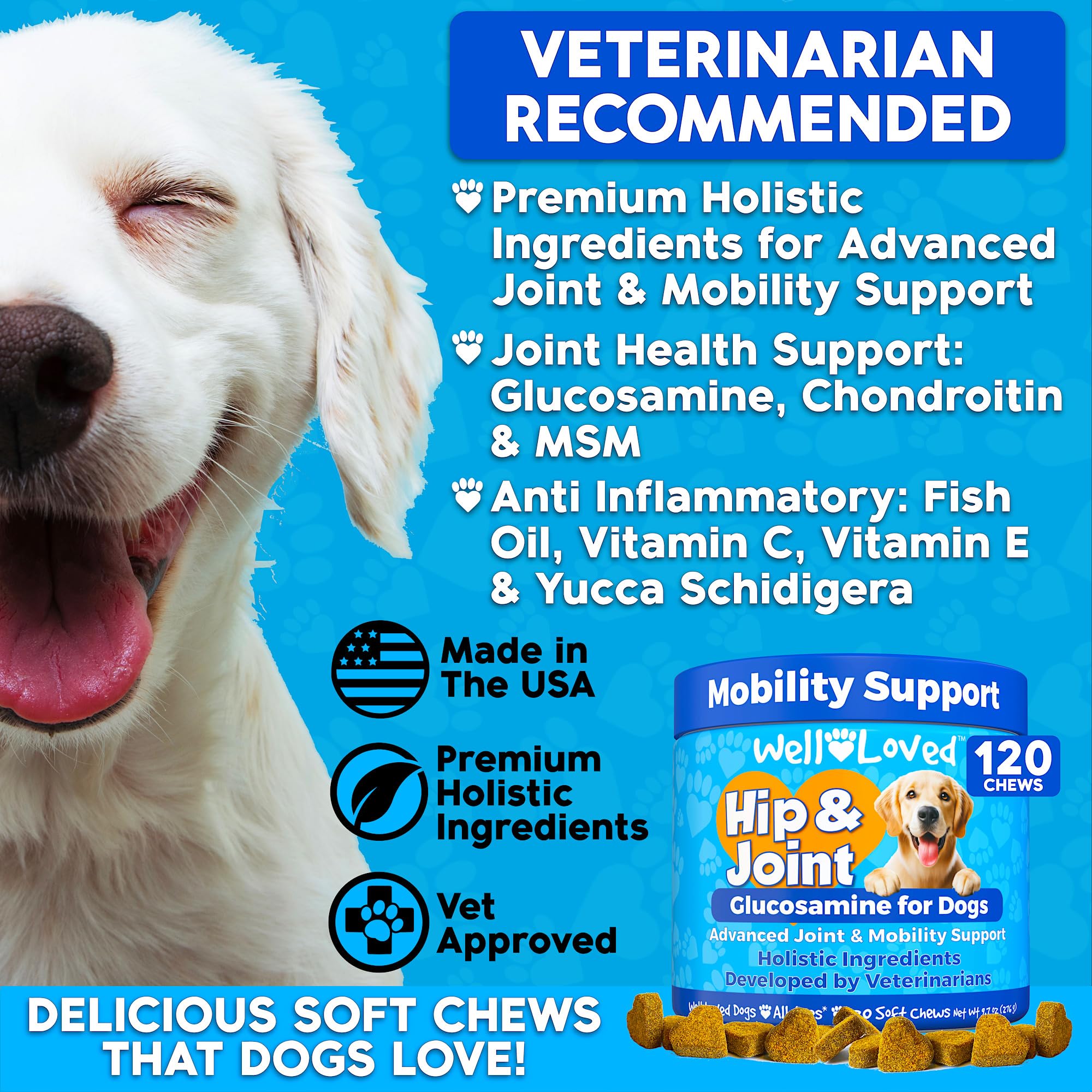 Well Loved glucosamine chondroitin MSM chews in a bite-sized form.