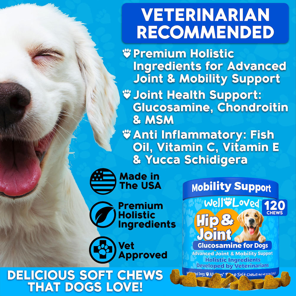 Well Loved glucosamine chondroitin MSM chews in a bite-sized form.