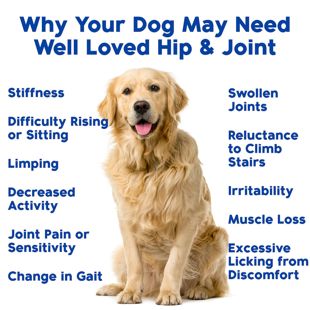 Well Loved label highlights glucosamine, chondroitin, MSM, and fish oil ingredients.