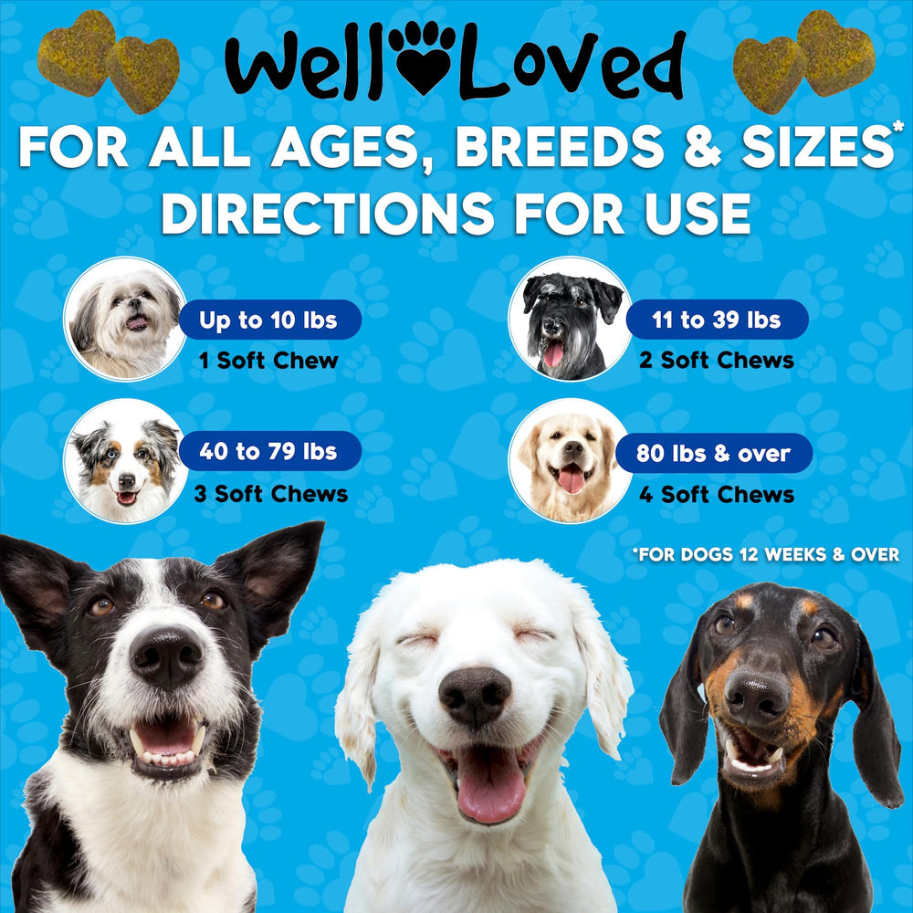 Well Loved soft chews arranged for easy daily dosing.