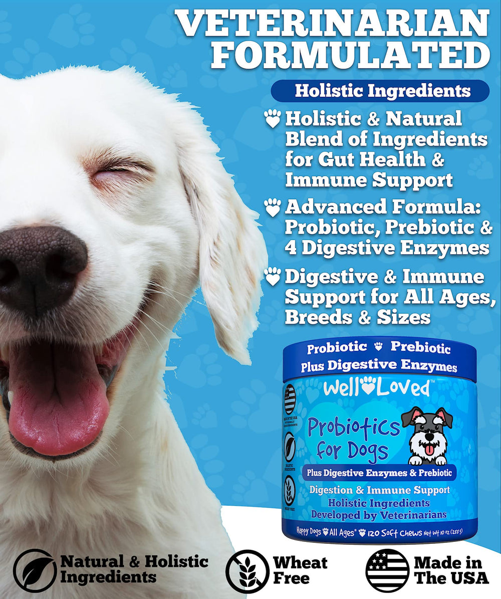 Well Loved Vet Developed Dog Probiotics with prebiotics and enzymes.